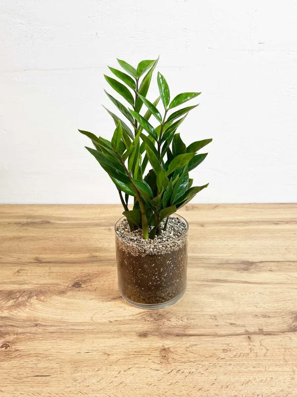 zamik-v-steklo-kashpo-14-45-3